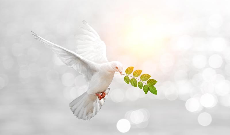 Христианский стих Церковь Пятидесятников