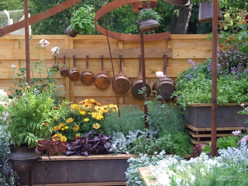    Фото: АиФ/ Ольга Воронова