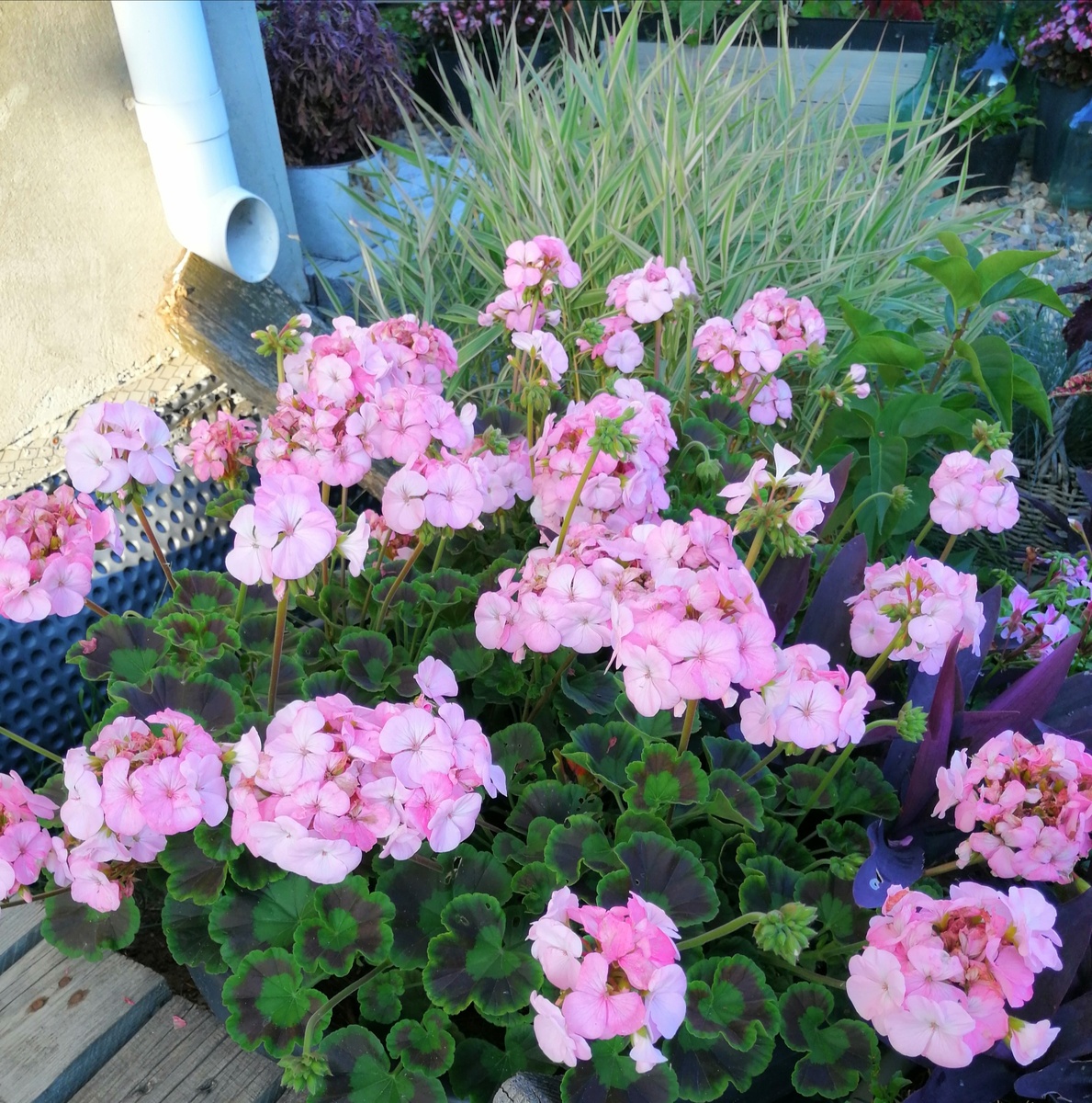 Вот таких было два, по обе стороны от входа. 2024 год. 