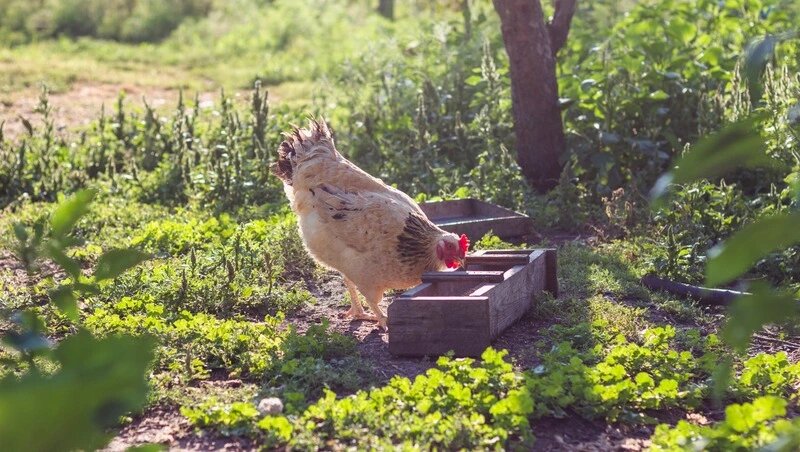     Фото: @freepik / ru.freepik.com