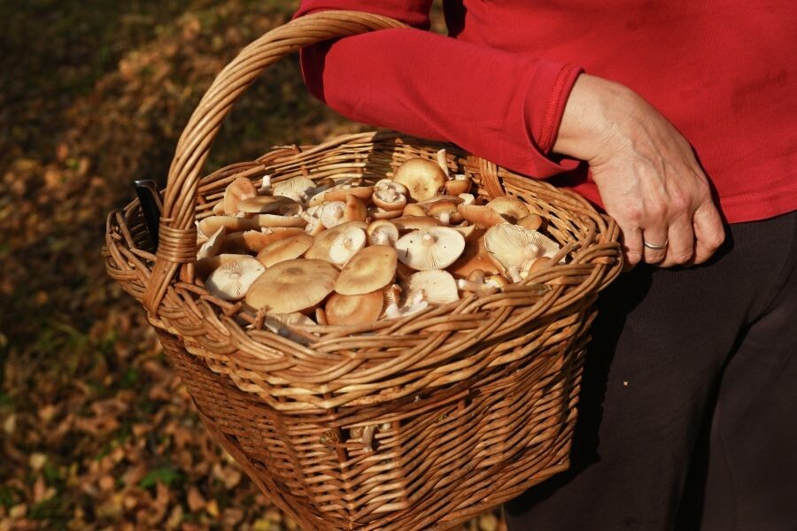     / Источник: © Кирилл Каллиников/РИА Новости