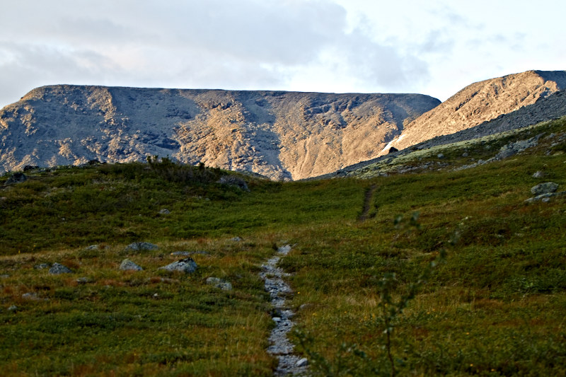 Фото с сайта https://ru.wikipedia.org