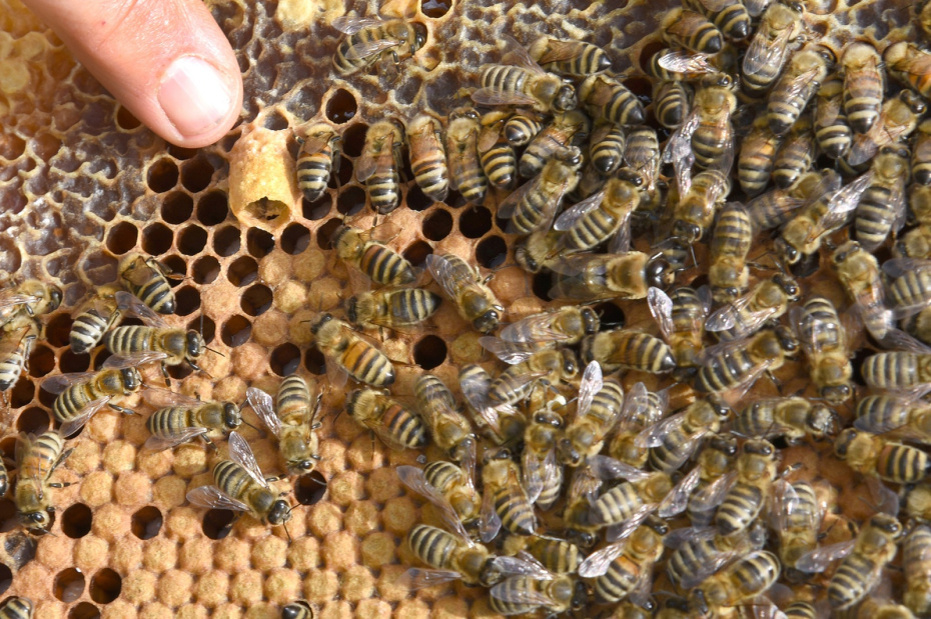    Waltraud Grubitzsch/dpa/Global Look Press