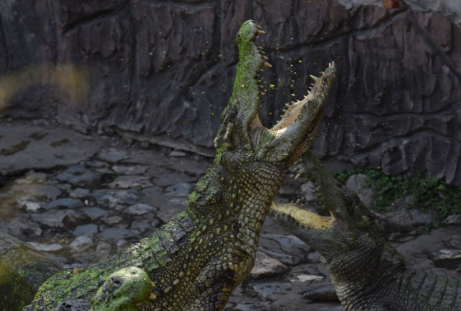    Teera Noisakran/Keystone Press Agency/Global Look Press