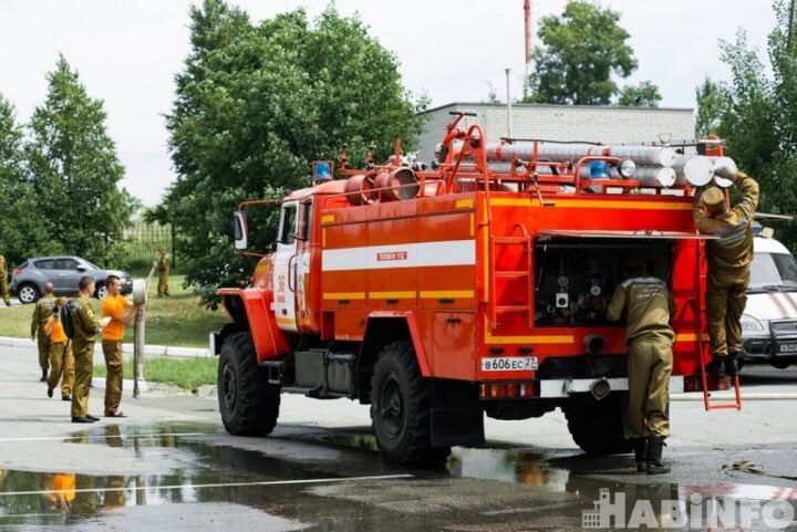    Фото:Ольга Цыкарева