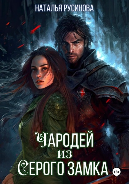     Чародей из серого замка