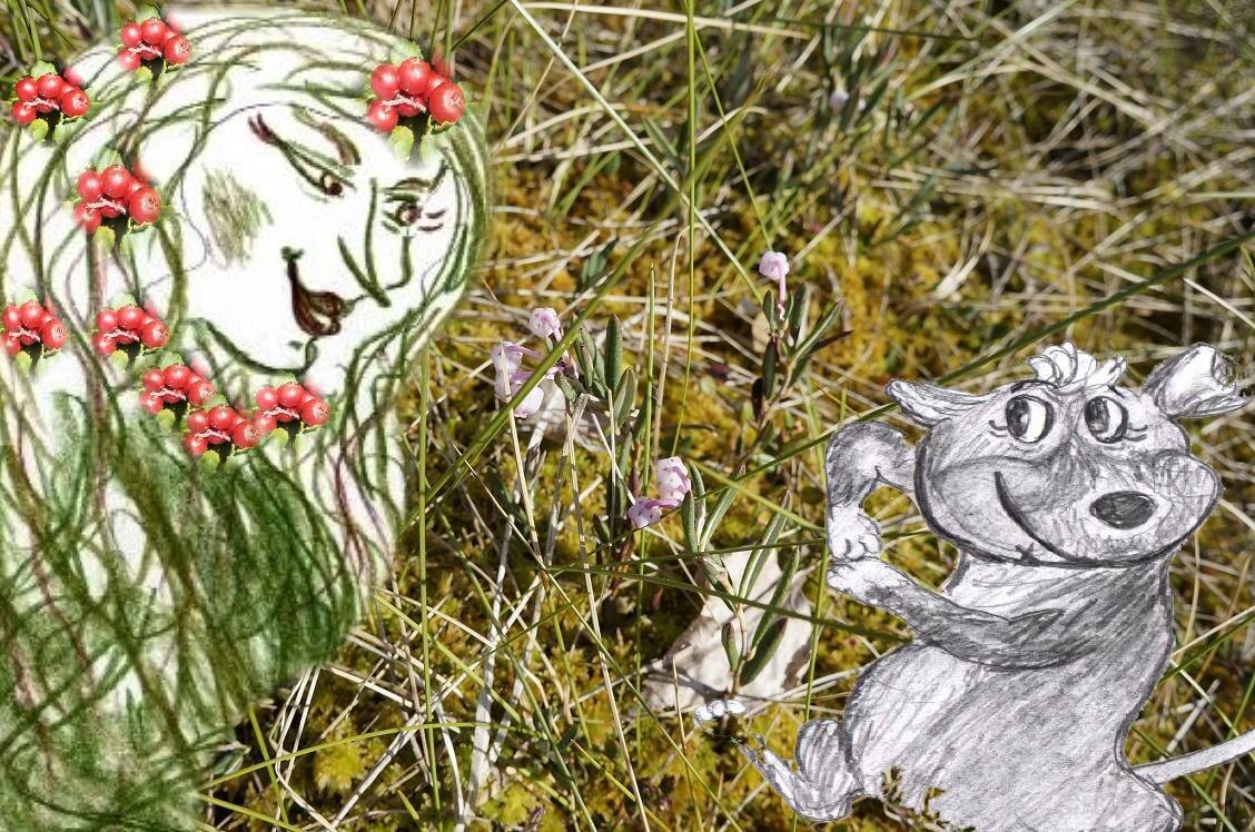 фото и рисунки для коллажа сделаны автором