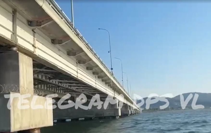    Источник фото: DPS VL