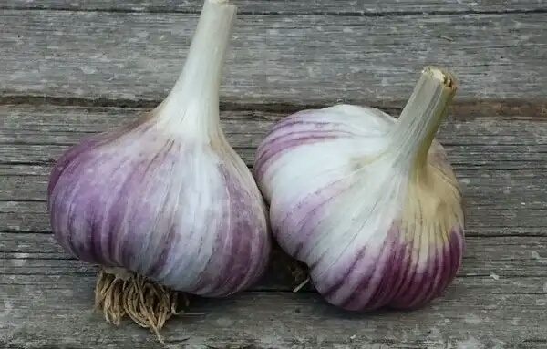 Первое правило хранения чеснока - и 2 тонкости: до лета как свежий, не отличишь от “молодого”. Не сохнет, не плесневеет и рано не прорастает