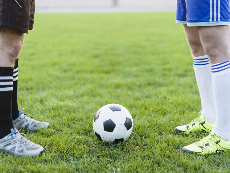     Фото: ru.freepik.com