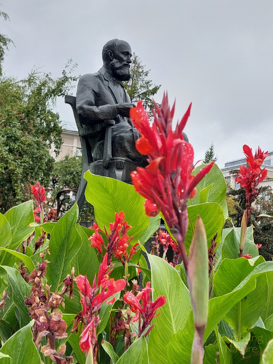 Яркий цветочный акцент привлекает внимание к памятнику Бутлерову в Казани