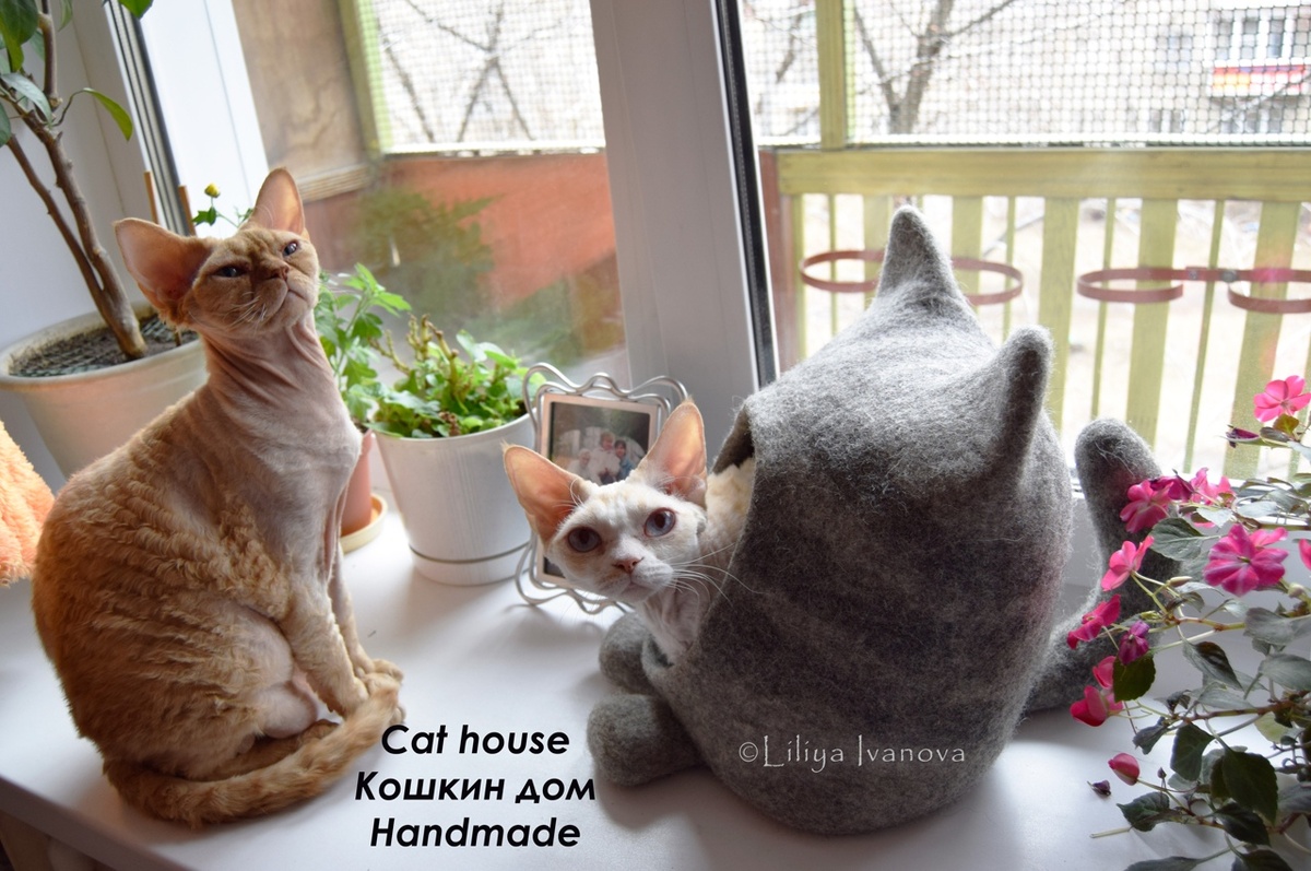 Кошкин дом