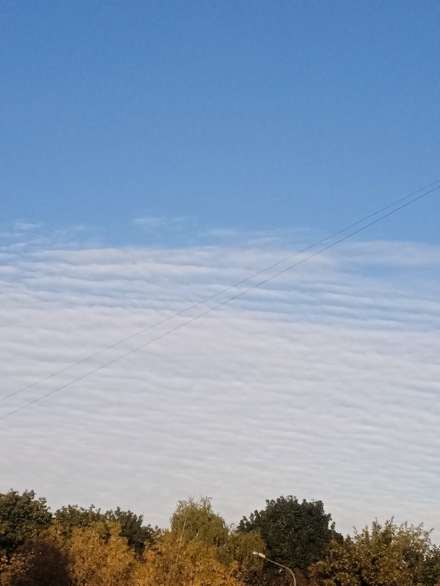 Утреннее небо. Фото автора.