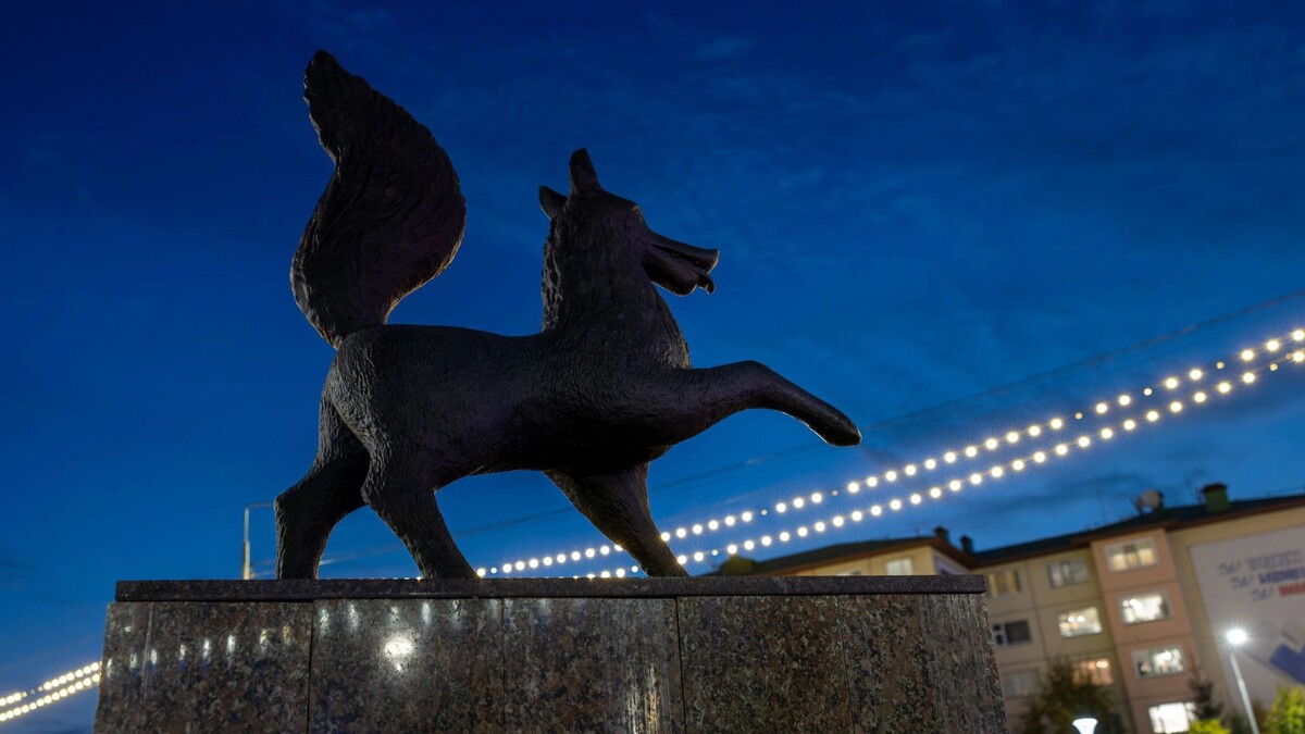    Фото: Федор Воронов/«Ямал-Медиа»