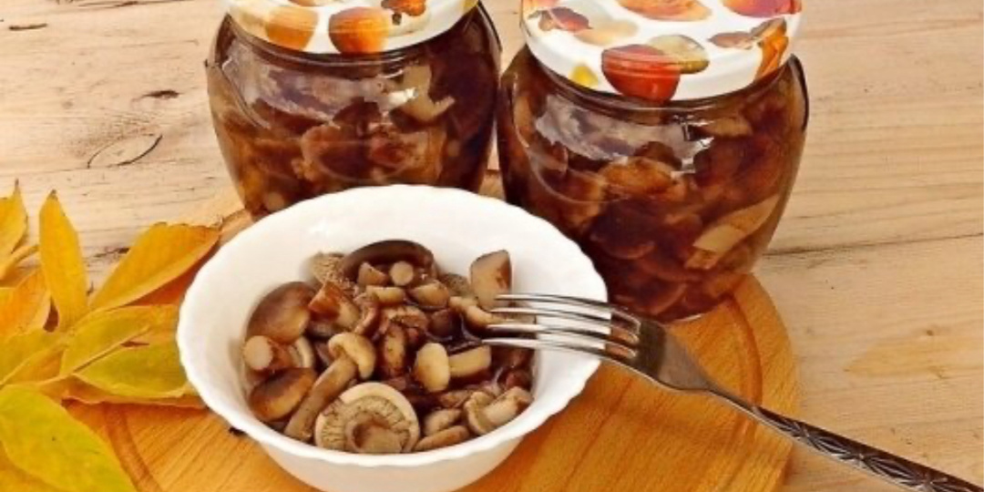 Вкусные маринованные опята на зиму ( с уксусом ) самый простой и быстрый рецепт