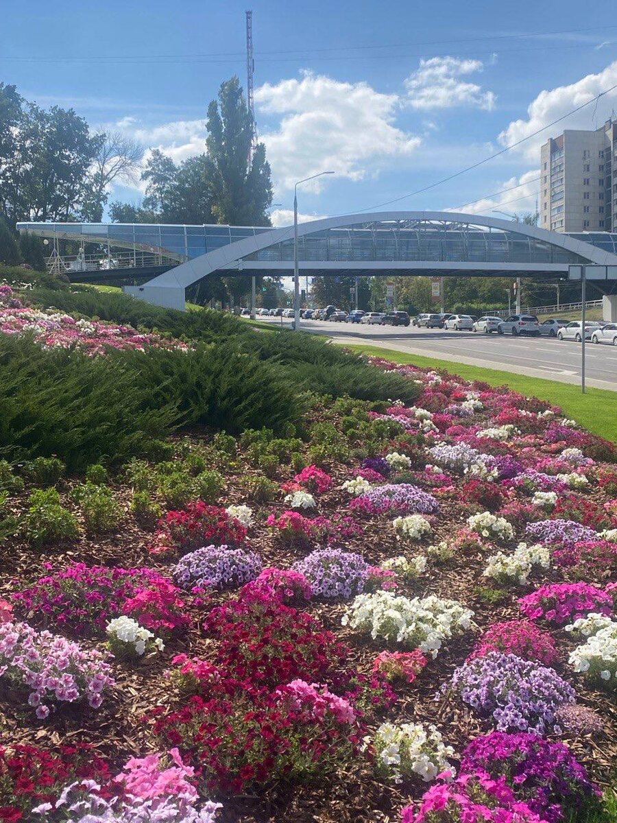 Фото из Белгорода, сентябрь 2025