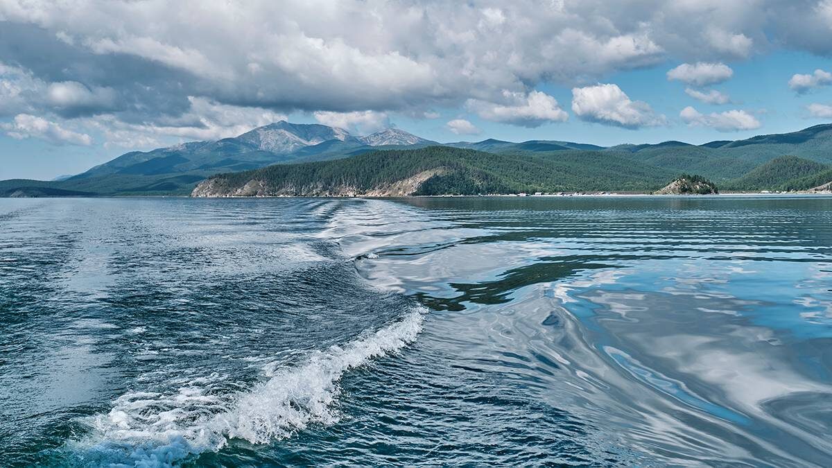    Фото: Shutterstock