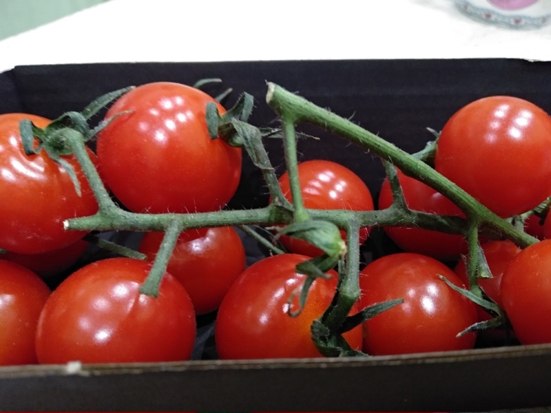 Черри, которые решила вырастить в саду