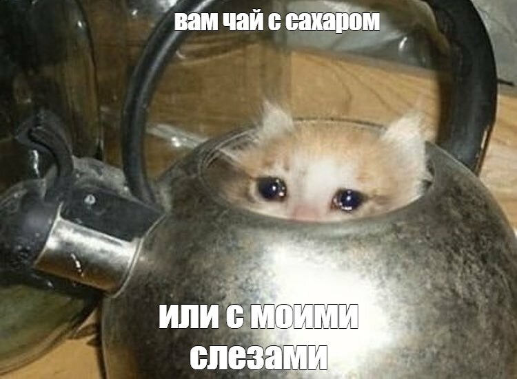 Фото из открытого доступа интернета