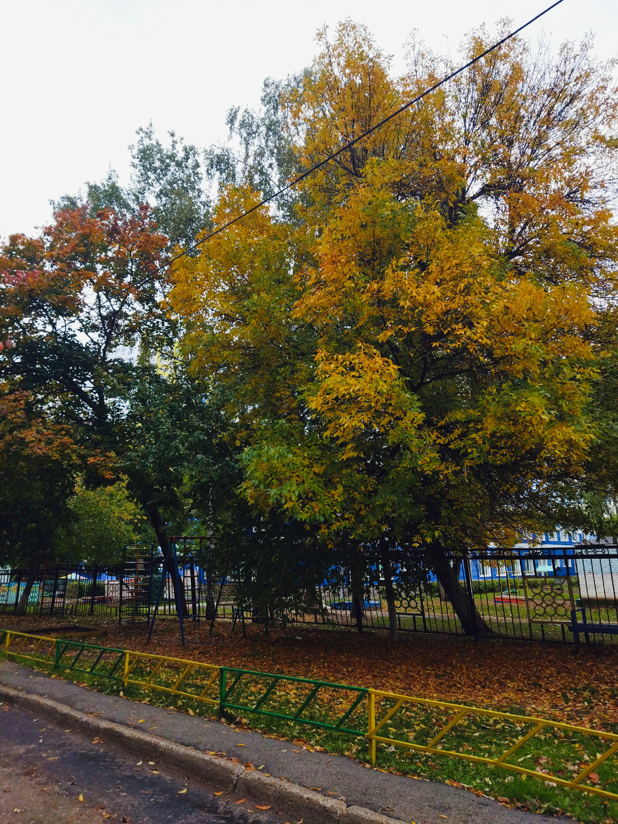 Фото автора