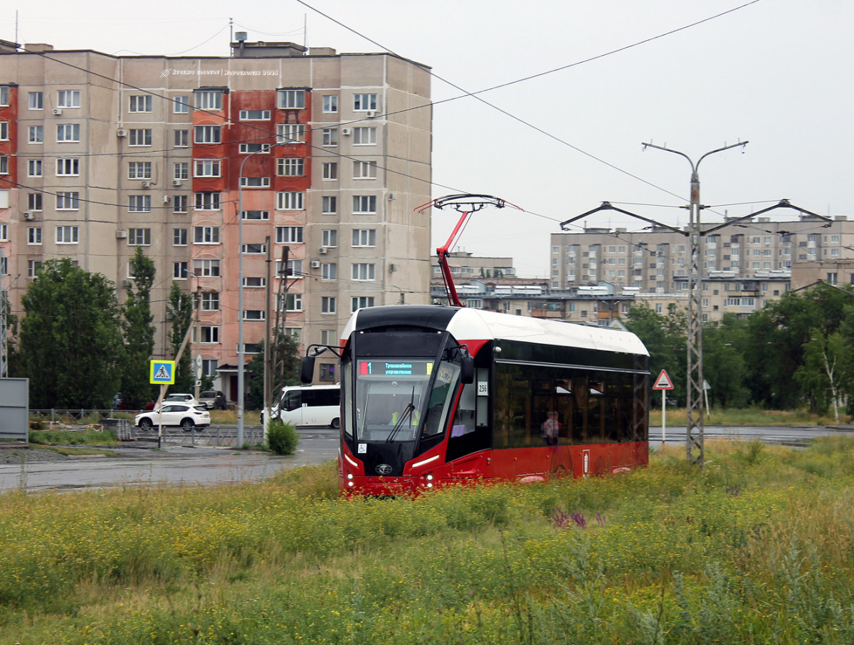 Львёнок из Новотроицка.