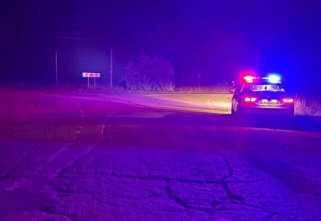    Фото: Госавтоинспекция Челябинской области