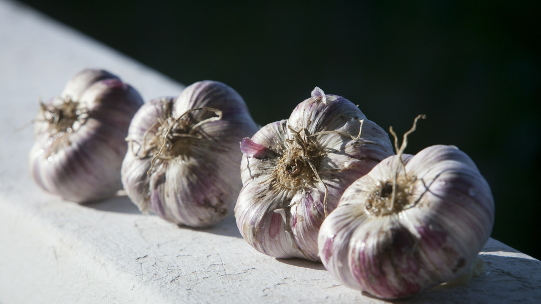    Фото: © Nikolay Gyngazov/Globallookpress