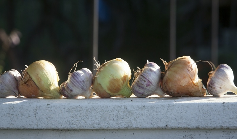    Фото: © Nikolay Gyngazov/Globallookpress