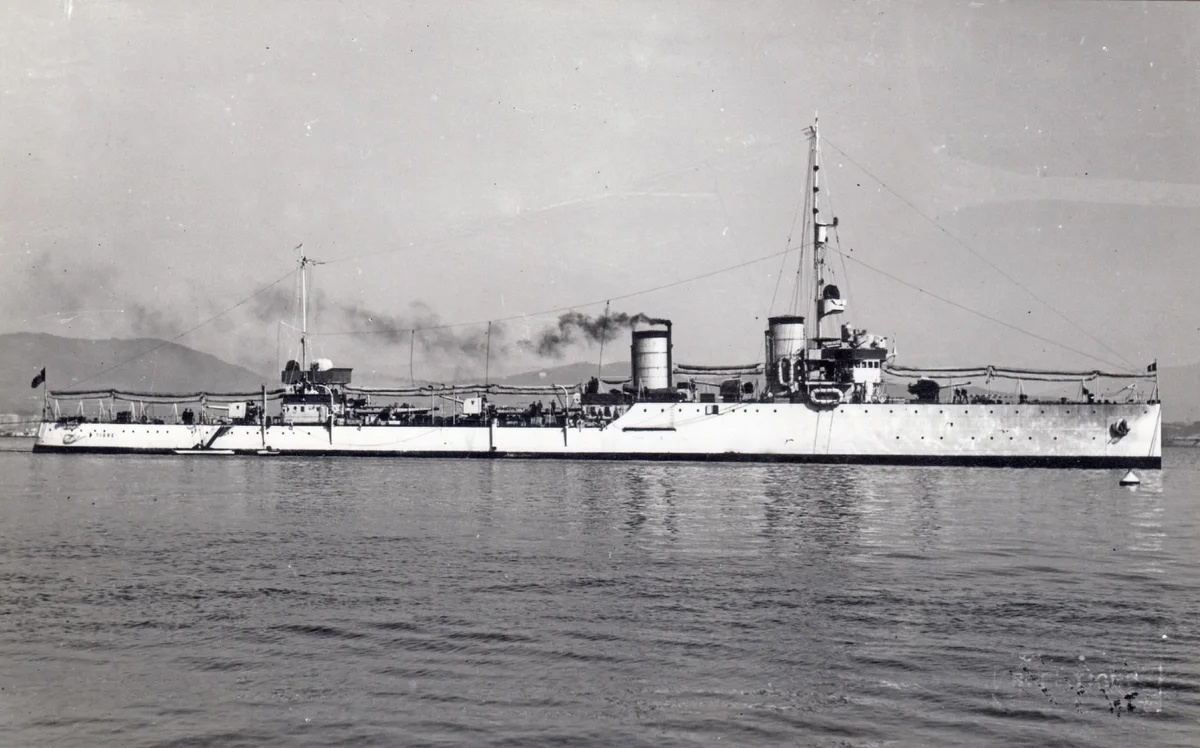 Лидер эсминцев, лёгкий скаут типа Leone