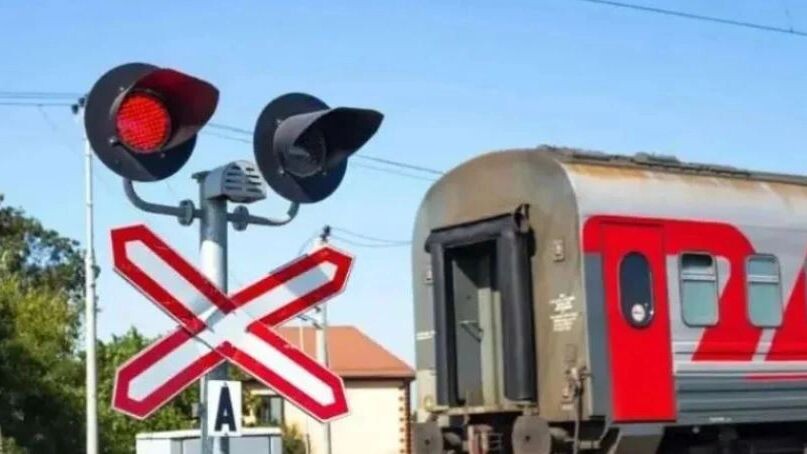    Фото: Natalia Kokhanova/Shutterstock/Fotodom