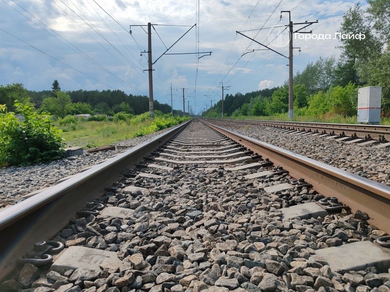     Фото: Города Лайф