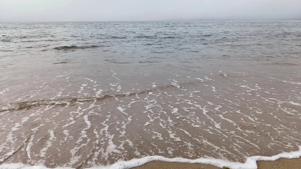    Maksim Konstantinov/Globallookpress