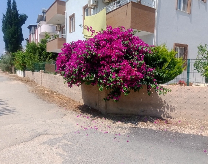 Так красиво было когда-то...