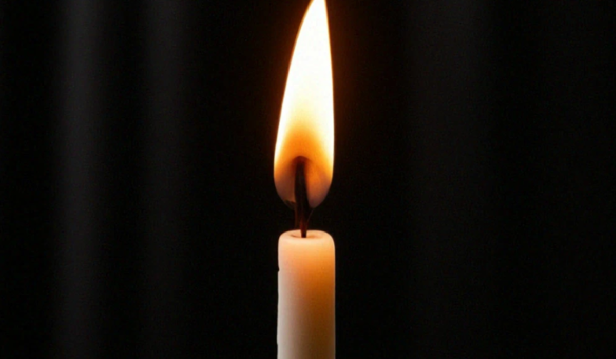    Фото сгенерировано в Шедеврум