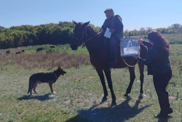    Пастух из Красногвардейского района проголосовал прямо на пастбище Оренбуржье