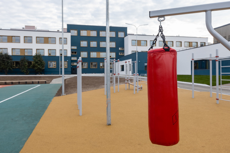 Анна Свирина: «Неужели наверху считают, что завучи школ не способны составить расписание?»