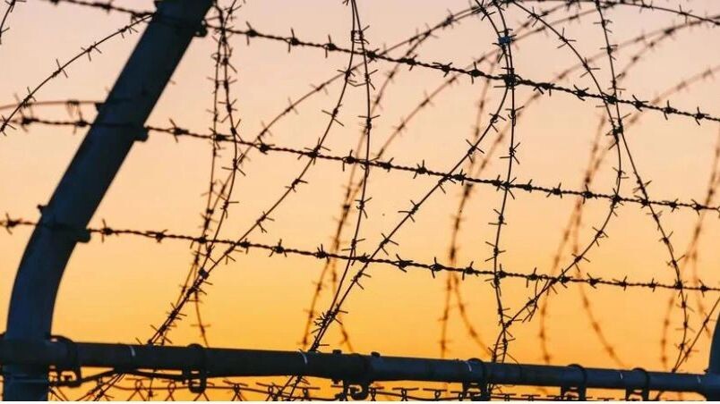    Фото: mTaira/Shutterstock/Fotodom