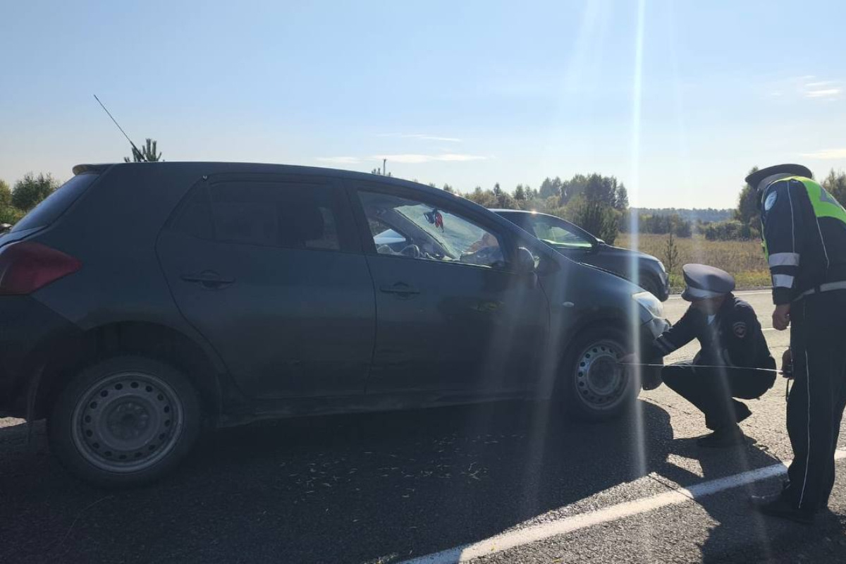    Фото: Госавтоинспекция Свердловской области