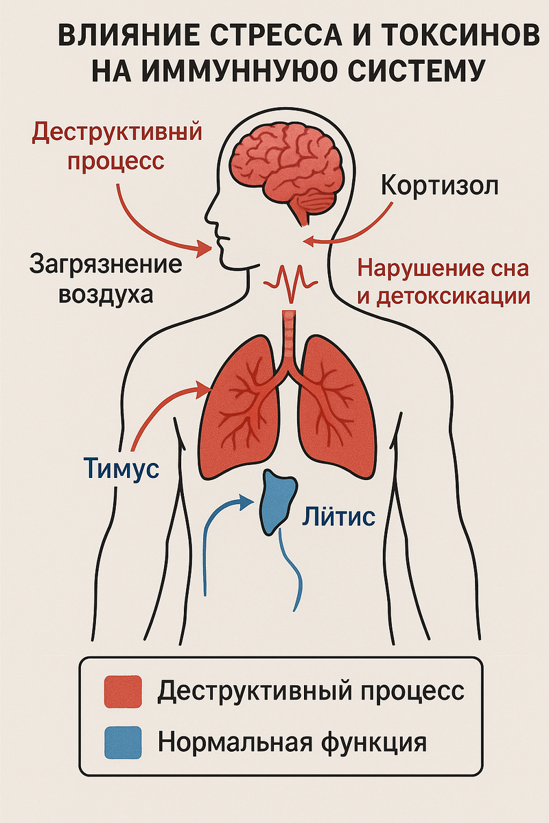Механизм разрушения иммунитета