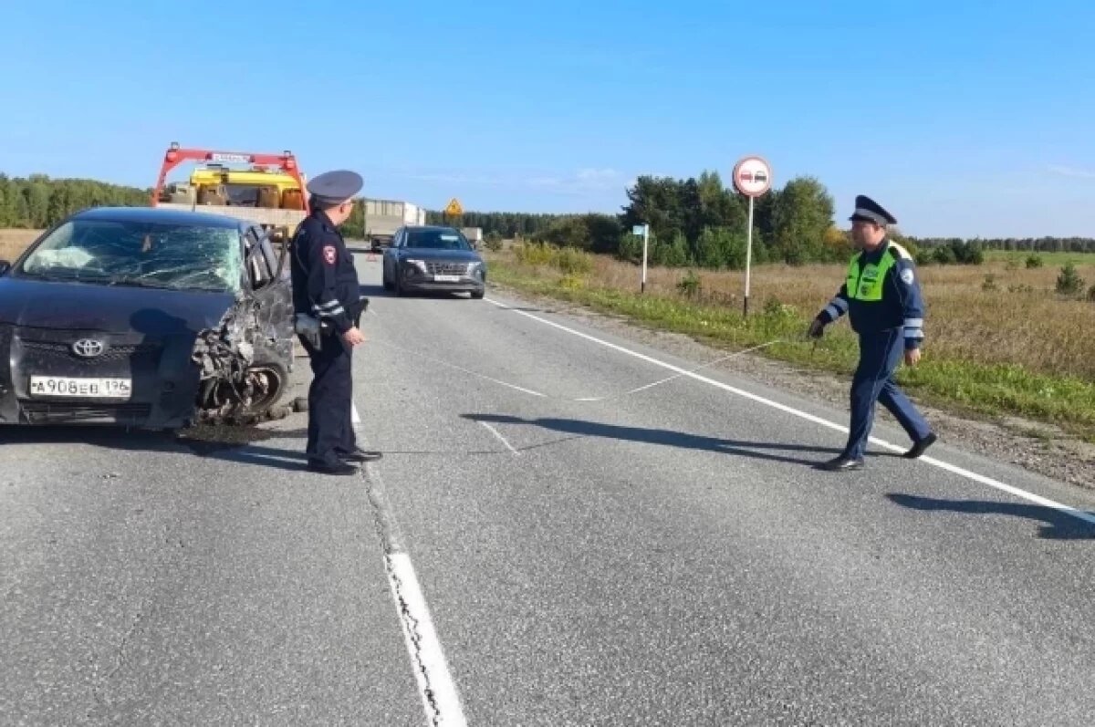    Водитель иномарки пострадал в массовом ДТП с грузовиками под Артемовским