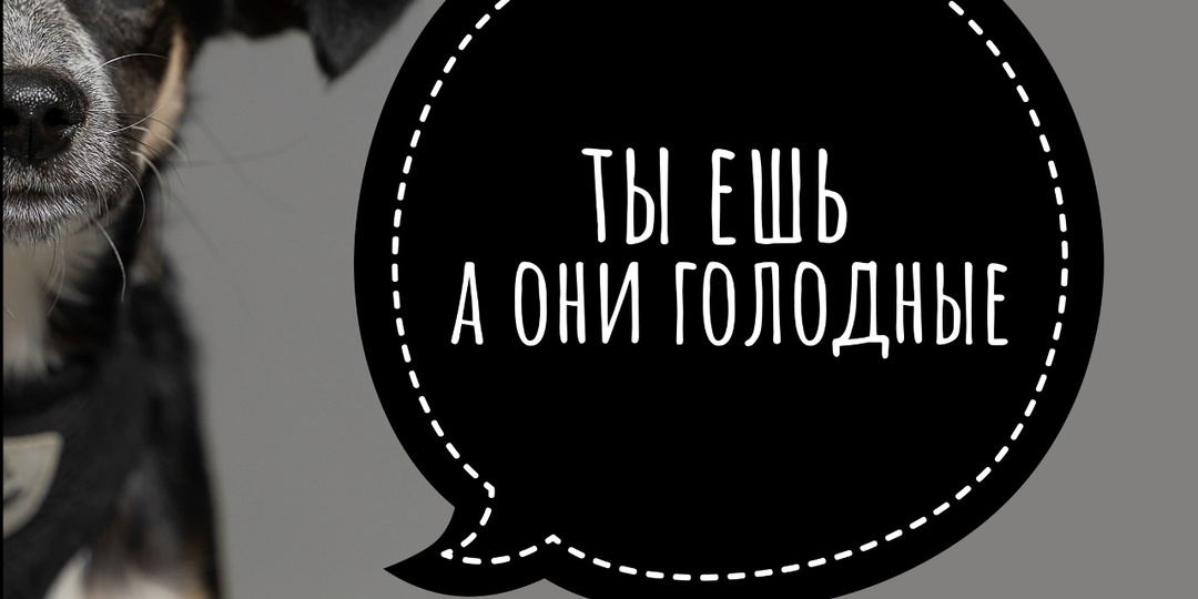 Ты ешь, а они ГОЛОДНЫЕ!