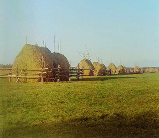 Прокудин-Горский Стог сена.