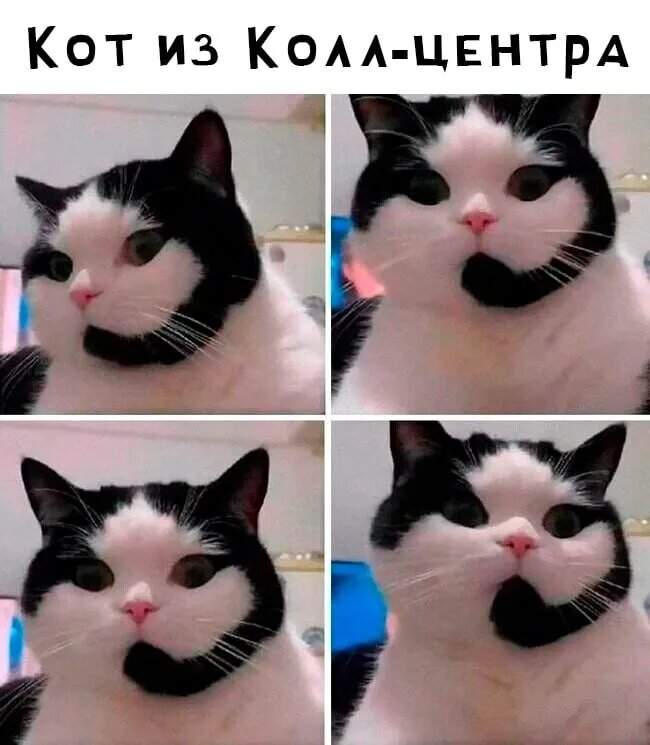 Источник: соцсети