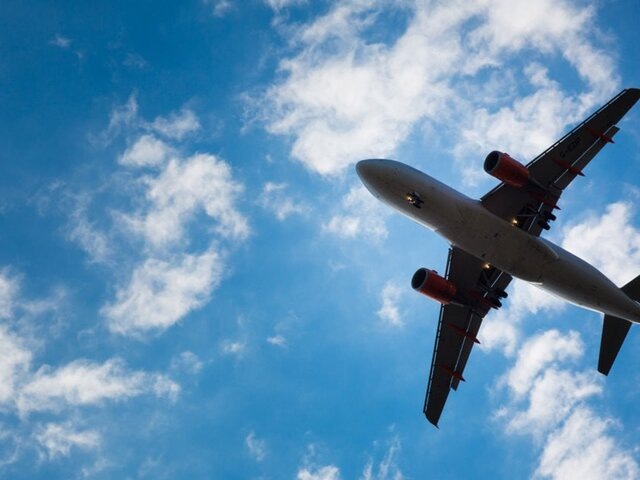    Фото: 123RF/lightpoet