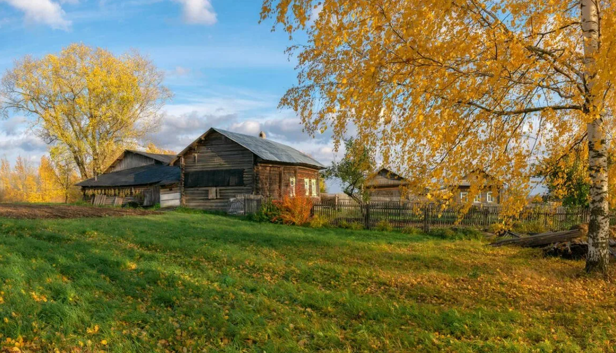 Яндекс картинки