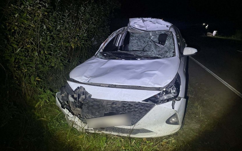    Двое взрослых и двое детей пострадали в ДТП с лосем под Можгой