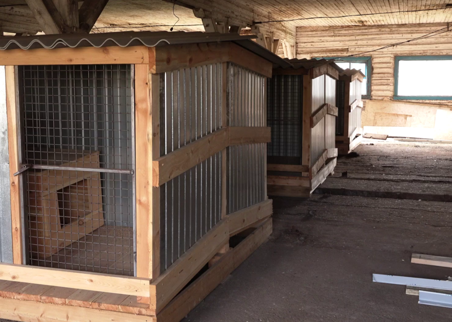 Фото скриншот с видео из телеграм-канала мэра района Сергея Анисимова