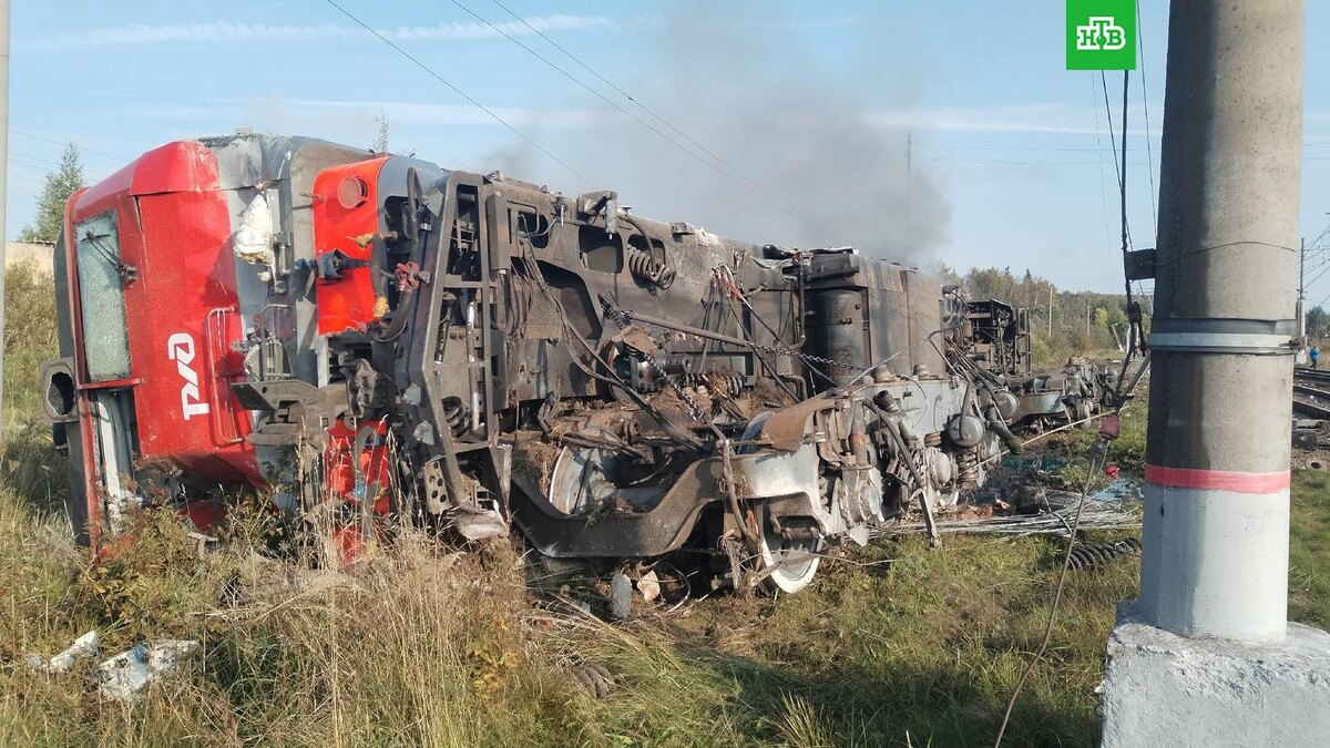    Фото: соцсети