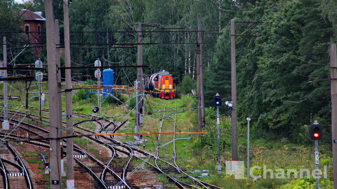 Фото: Анастасия Илюшина\47channel (архив)