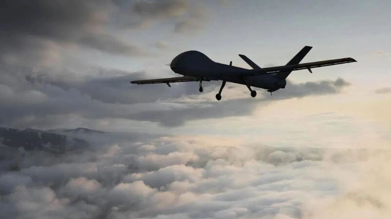    Фото: marina.rodrigues/Shutterstock/Fotodom